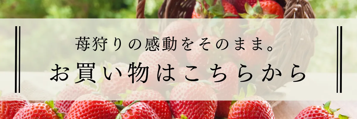 全部食べ切れない！あるあるな悩みを解決するいちごジャムの驚きの使い道とは？