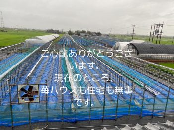 まさかの梅雨のラスト級