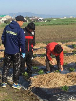 3月23日(金) バイバイ👋ブラザーズ弟👬