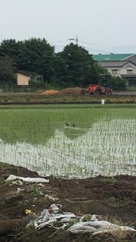 6月21日(木) 本日は、お留守番です‼