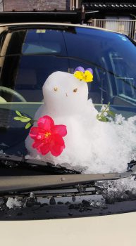 雪❄️のち真夏☀️ 苺　いちご　あまおう　産直　通販