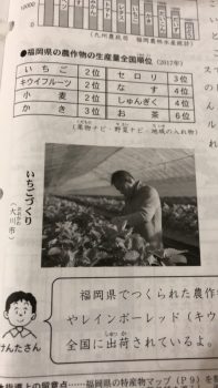 【小学校の教科書にデビュー！！】